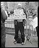 Occupying Wall Street - November 15, 2011 - Bookseller - Accra Shepp